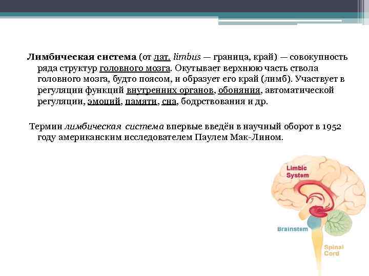 Лимбическая система (от лат. limbus — граница, край) — совокупность ряда структур головного мозга.