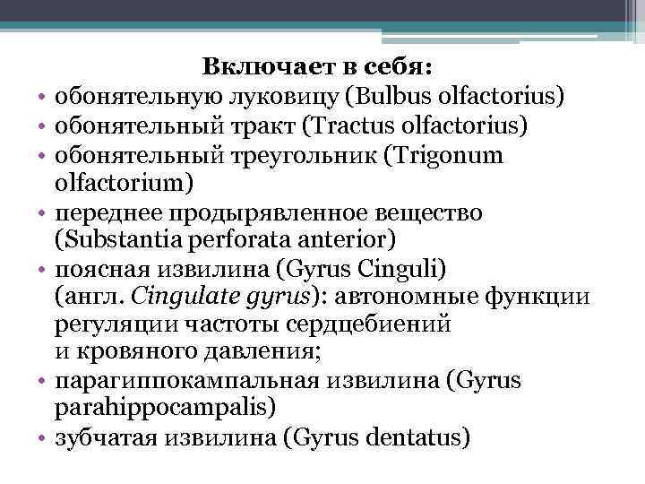  • • Включает в себя: обонятельную луковицу (Bulbus olfactorius) обонятельный тракт (Tractus olfactorius)