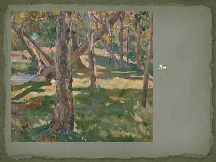 Лес 