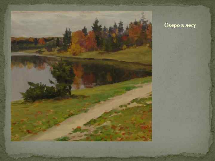 Озеро в лесу 