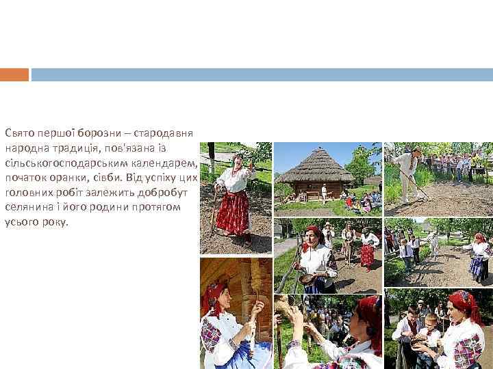 Свято першої борозни – стародавня народна традиція, пов'язана із сільськогосподарським календарем, – початок оранки,