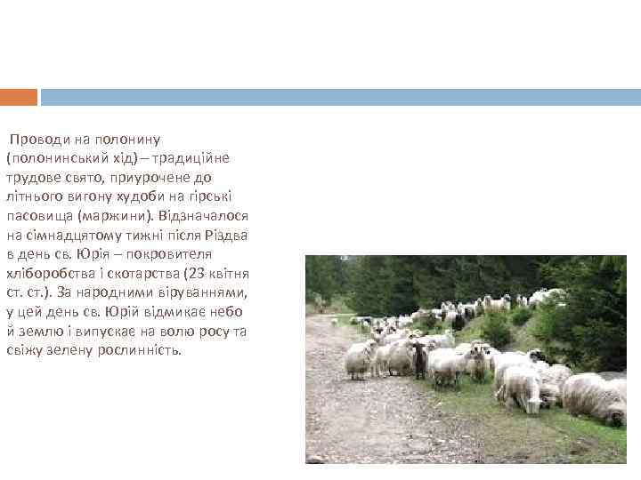 Проводи на полонину (полонинський хід) – традиційне трудове свято, приурочене до літнього вигону худоби