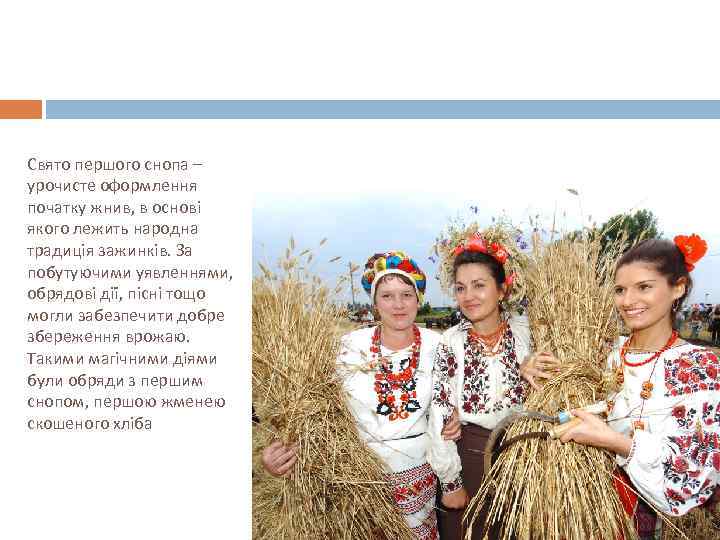 Свято першого снопа – урочисте оформлення початку жнив, в основі якого лежить народна традиція