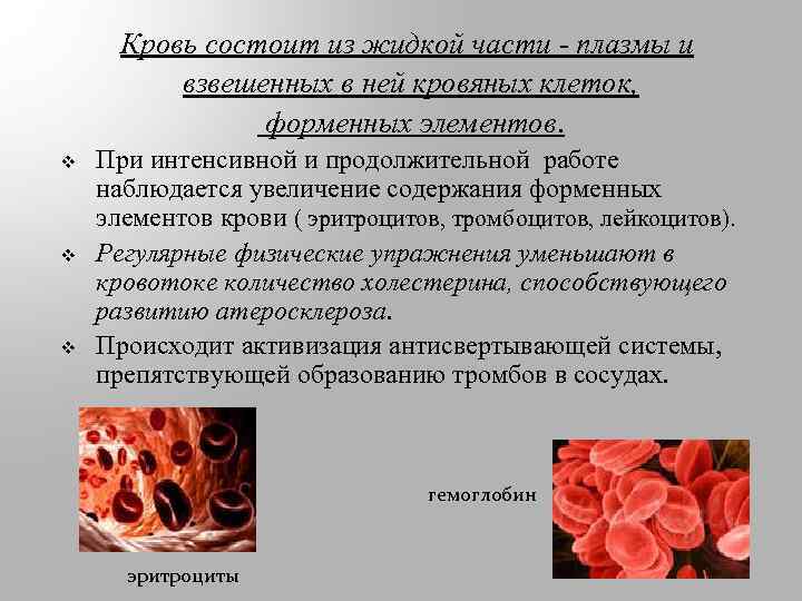 Кровь состоит из жидкой части - плазмы и взвешенных в ней кровяных клеток, форменных