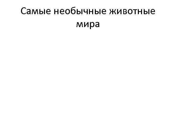 Самые необычные животные мира 