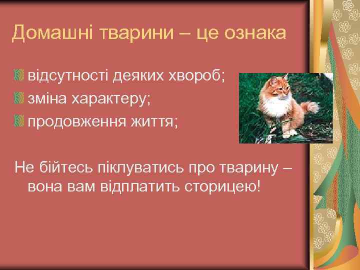 Домашні тварини – це ознака відсутності деяких хвороб; зміна характеру; продовження життя; Не бійтесь
