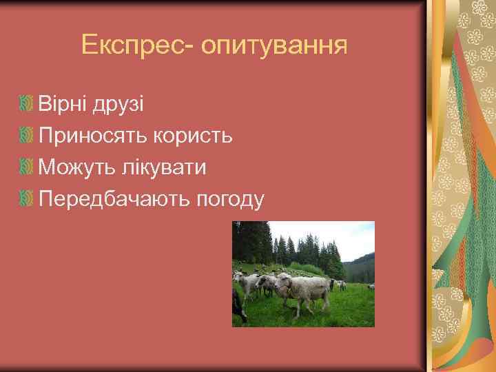 Експрес- опитування Вірні друзі Приносять користь Можуть лікувати Передбачають погоду 