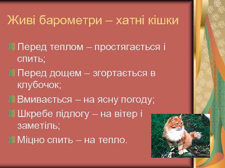 Живі барометри – хатні кішки Перед теплом – простягається і спить; Перед дощем –