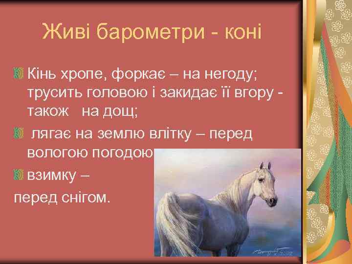 Живі барометри - коні Кінь хропе, форкає – на негоду; трусить головою і закидає