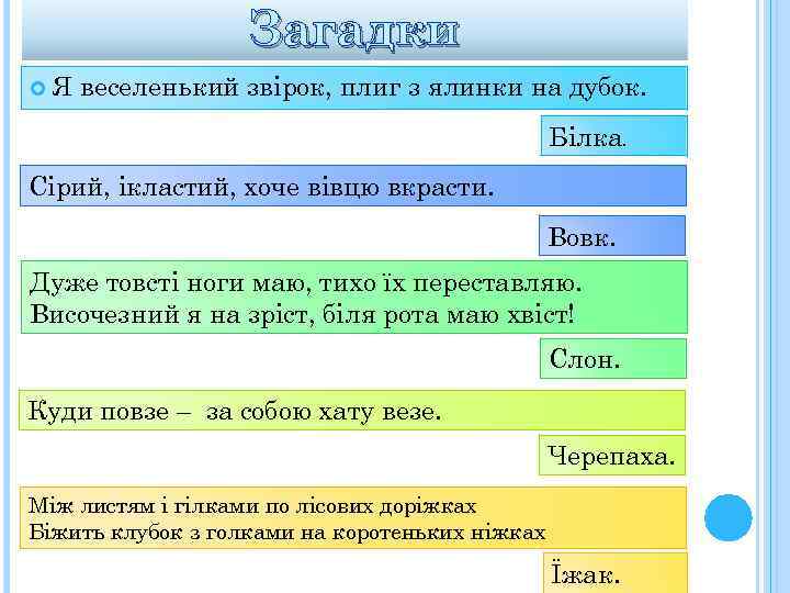 Загадки Я веселенький звірок, плиг з ялинки на дубок. Білка. Сірий, ікластий, хоче вівцю