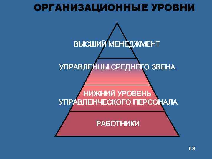 Организационный уровень. Уровни организационной структуры. Организационный уровень менеджмента. Уровни управленческого персонала.