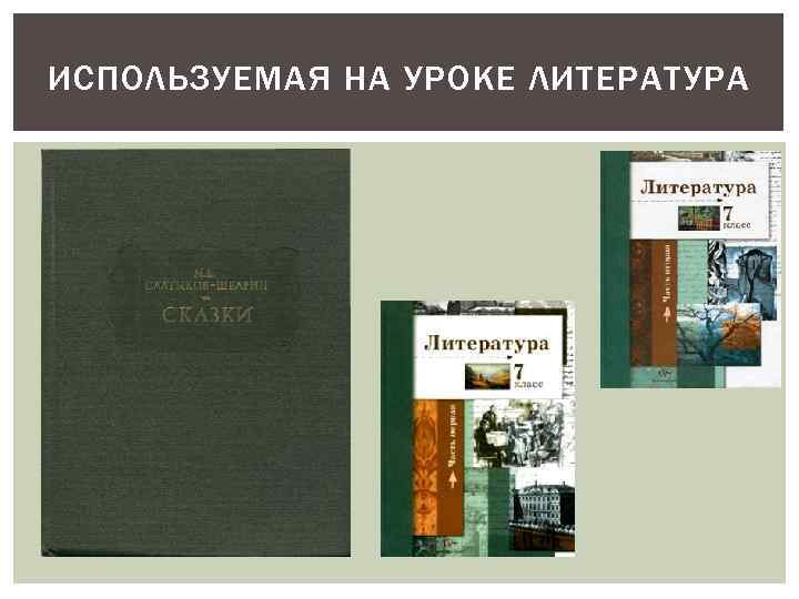 ИСПОЛЬЗУЕМАЯ НА УРОКЕ ЛИТЕРАТУРА 