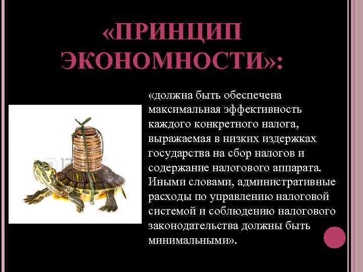  «ПРИНЦИП ЭКОНОМНОСТИ» : «должна быть обеспечена максимальная эффективность каждого конкретного налога, выражаемая в