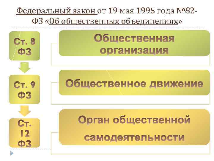 Федеральный закон от 19 мая 1995 года № 82 ФЗ «Об общественных объединениях» 