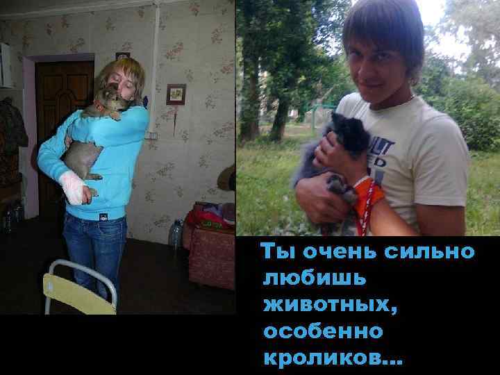Ты очень сильно любишь животных, особенно кроликов… 