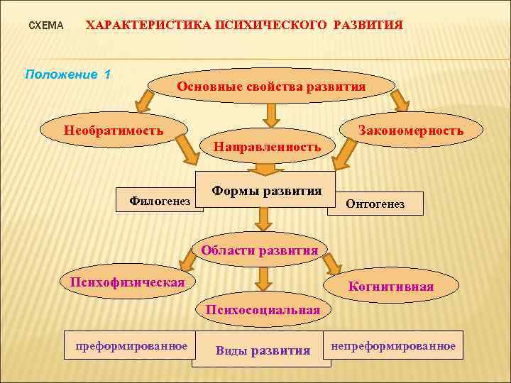 Положение развития