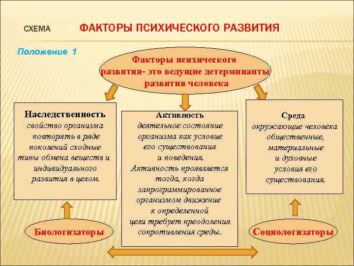 СХЕМА Положение 1 ФАКТОРЫ ПСИХИЧЕСКОГО РАЗВИТИЯ Факторы психического развития- это ведущие детерминанты развития человека