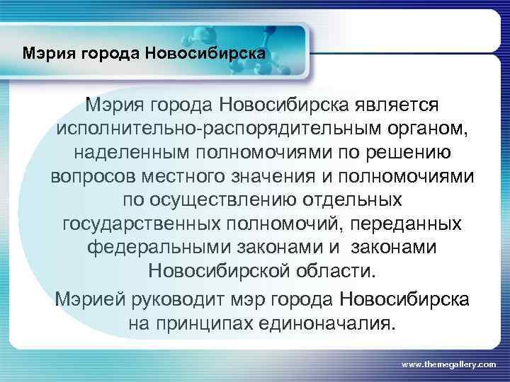Мэрия города Новосибирска является исполнительно-распорядительным органом, наделенным полномочиями по решению вопросов местного значения и