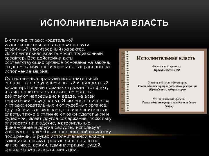 Исполнительная власть политике