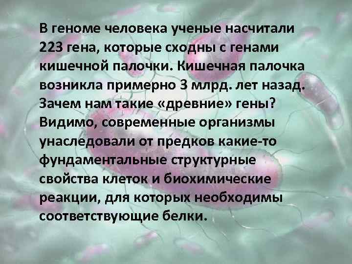 В геноме человека ученые насчитали 223 гена, которые сходны с генами кишечной палочки. Кишечная