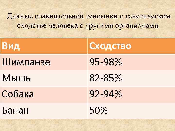 Данные сравнительной геномики о генетическом сходстве человека с другими организмами Вид Сходство Шимпанзе 95