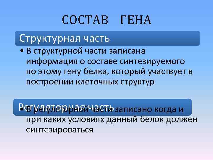 Что такое ген