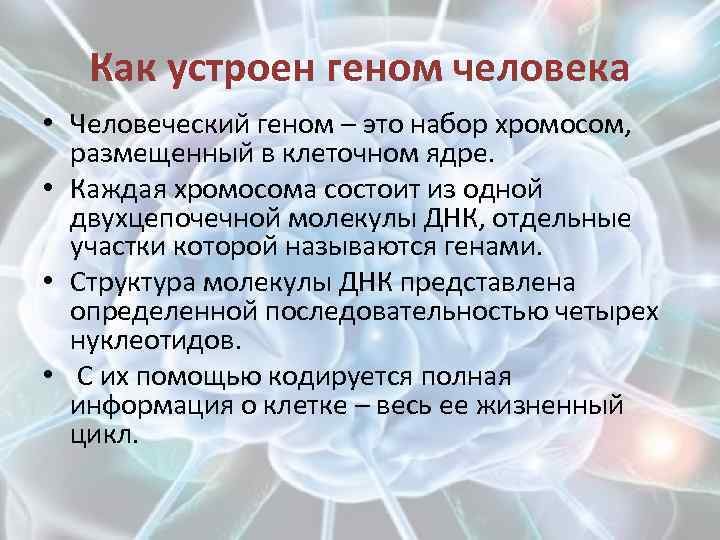 Что такое ген