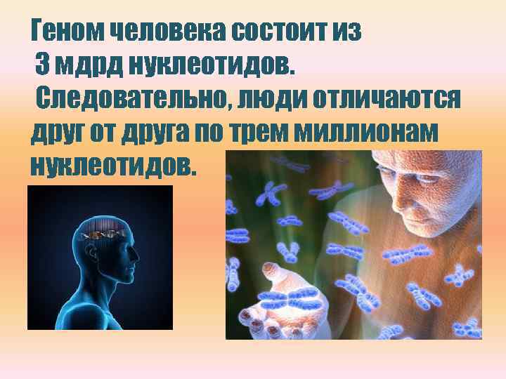 Гена человек. Генетическое строение человека. Геном человека состоит. Генетическое развитие человека. Из чего состоит геном человека.