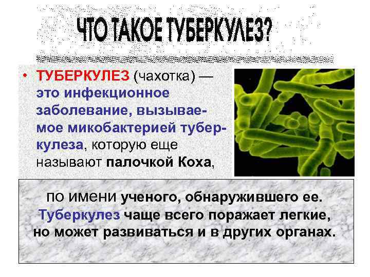  • ТУБЕРКУЛЕЗ (чахотка) — это инфекционное заболевание, вызываемое микобактерией туберкулеза, которую еще называют