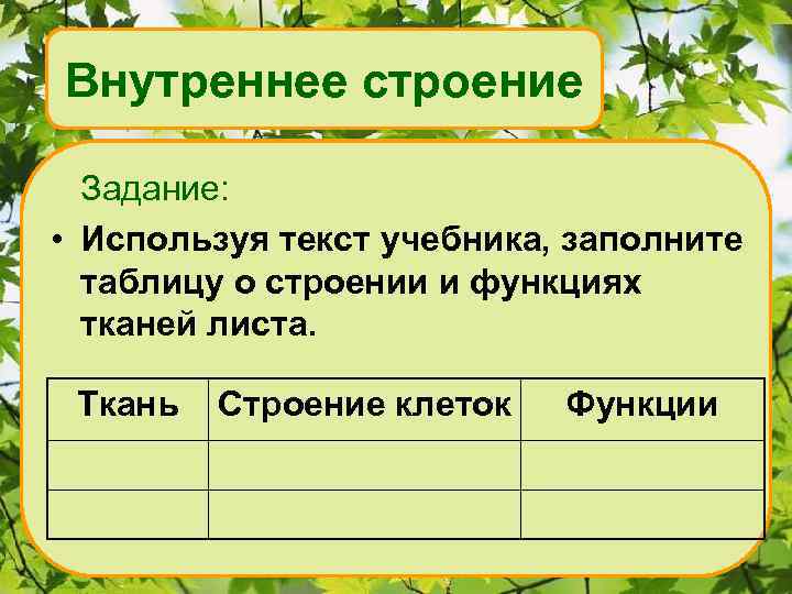 Внутреннее строение Задание: • Используя текст учебника, заполните таблицу о строении и функциях тканей