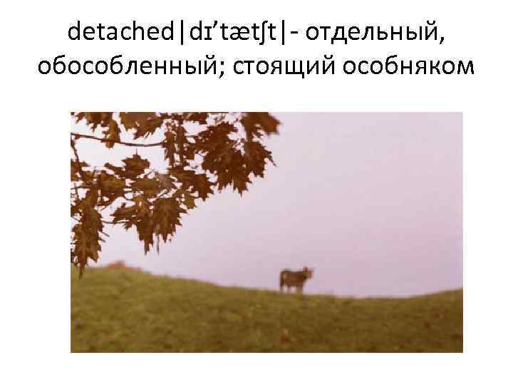 detached|dɪ’tætʃt|- отдельный, обособленный; стоящий особняком 