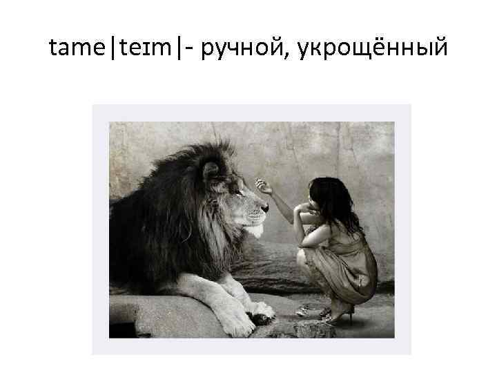 tame|teɪm|- ручной, укрощённый 
