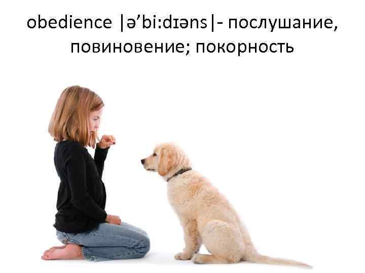 obedience |ə’bi: dɪəns|- послушание, повиновение; покорность 