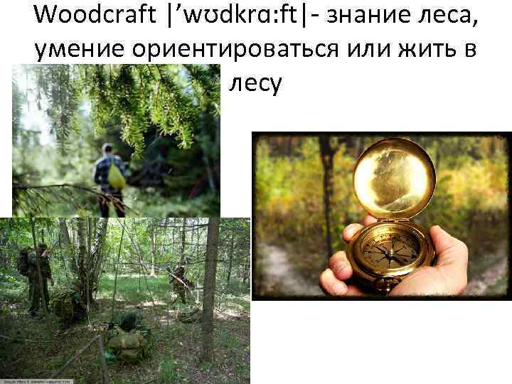 Woodcraft |’wʊdkrɑ: ft|- знание леса, умение ориентироваться или жить в лесу 