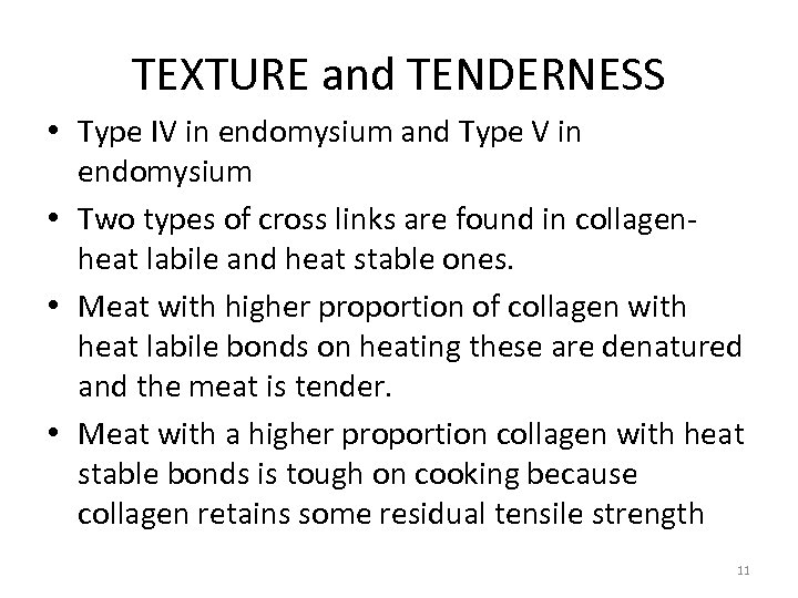 TEXTURE and TENDERNESS • Type IV in endomysium and Type V in endomysium •