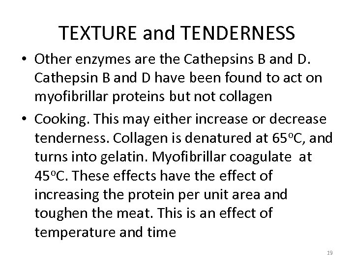 TEXTURE and TENDERNESS • Other enzymes are the Cathepsins B and D. Cathepsin B