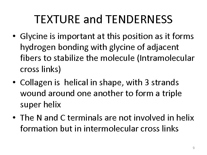 TEXTURE and TENDERNESS • Glycine is important at this position as it forms hydrogen