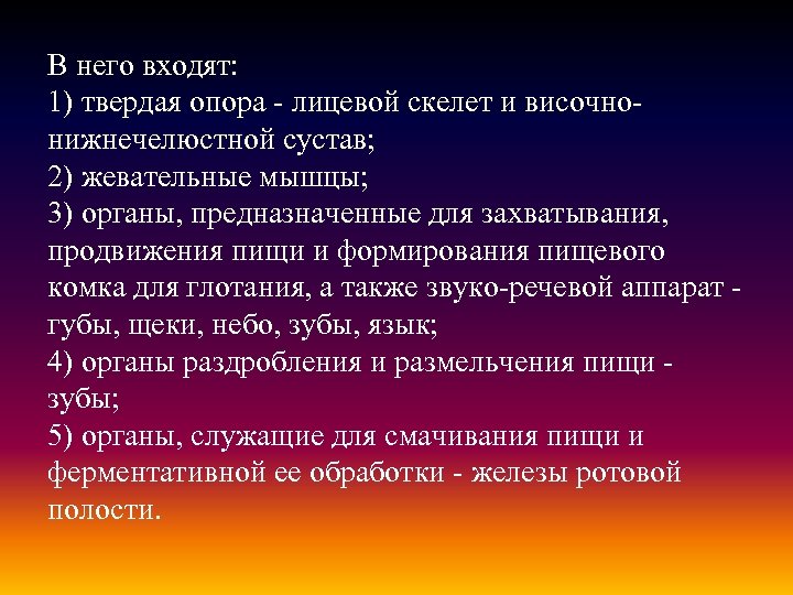 В него входят: 1) твердая опора - лицевой скелет и височнонижнечелюстной сустав; 2) жевательные
