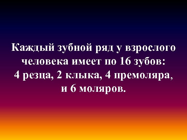 Каждый зубной ряд у взрослого человека имеет по 16 зубов: 4 резца, 2 клыка,