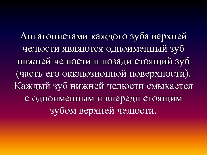 Антагонистами каждого зуба верхней челюсти являются одноименный зуб нижней челюсти и позади стоящий зуб