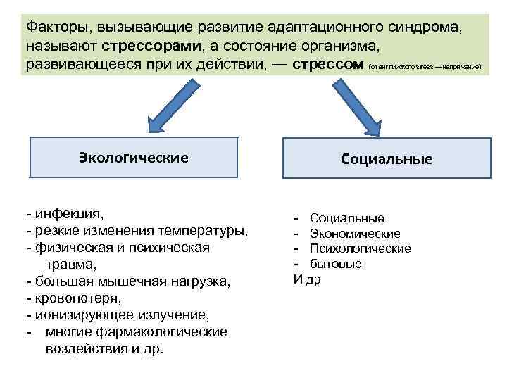 Факторы, вызывающие развитие адаптационного синдрома, называют стрессорами, а состояние организма, развивающееся при их действии,