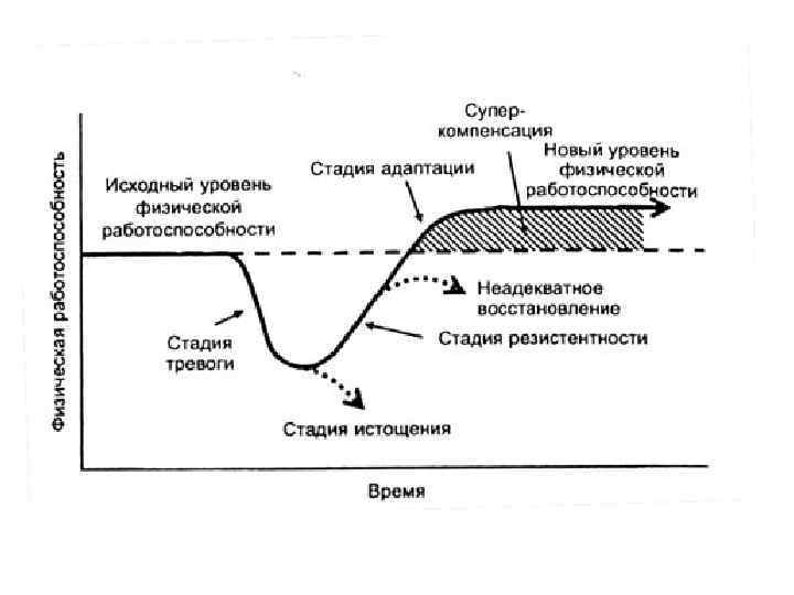 Физическая компенсация. Стадии развития общего адаптационного синдрома. Стадии общего адаптационного синдрома по г Селье. Стадии физиологической адаптации. 4. Стадии общего адаптационного синдрома..