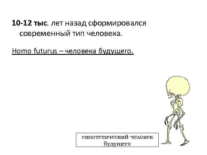 10 -12 тыс. лет назад сформировался современный тип человека. Homo futurus – человека будущего.