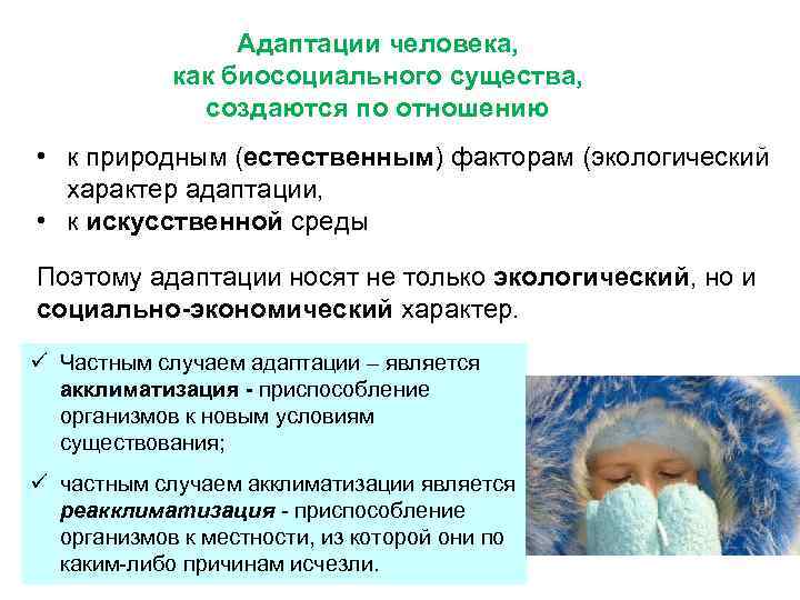 Адаптации человека, как биосоциального существа, создаются по отношению • к природным (естественным) факторам (экологический