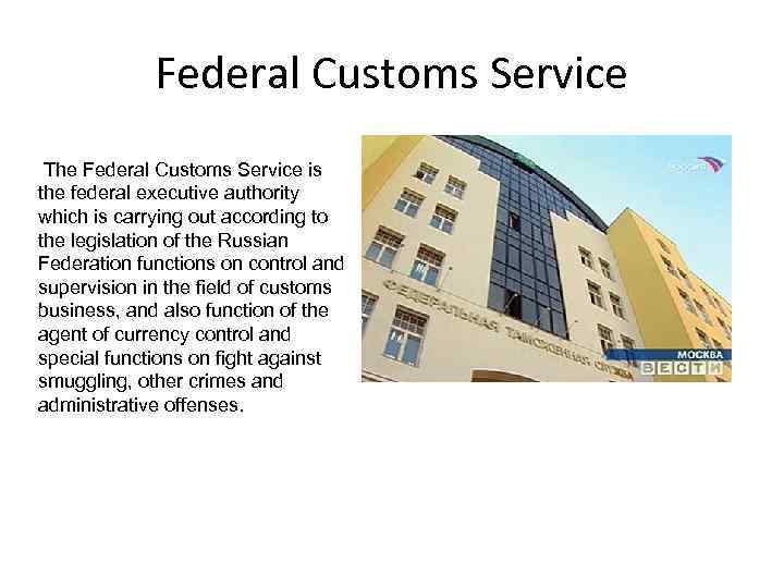 Federal Customs Service The Federal Customs Service is the federal executive authority which is