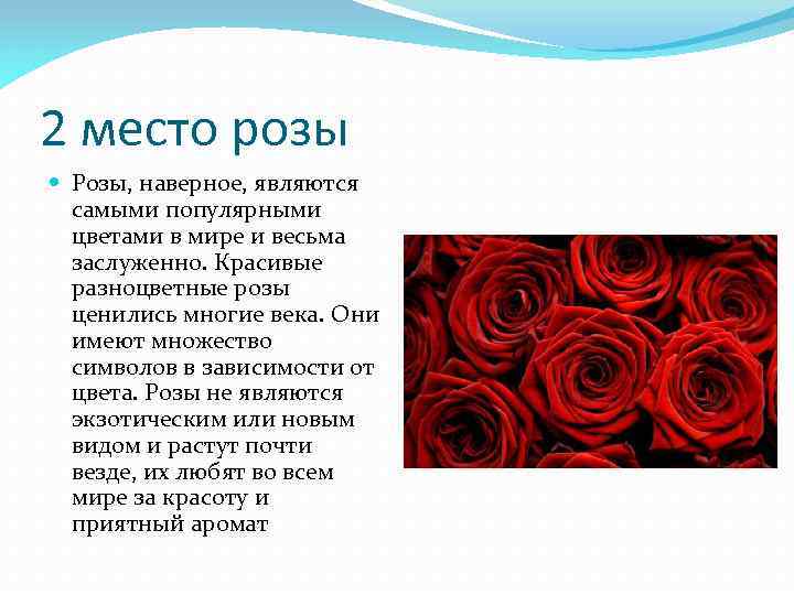 2 место розы Розы, наверное, являются самыми популярными цветами в мире и весьма заслуженно.