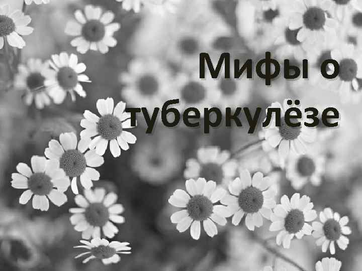Мифы о туберкулёзе 