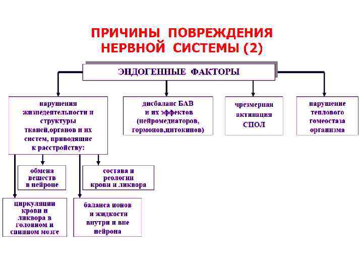 Виды нарушения деятельности