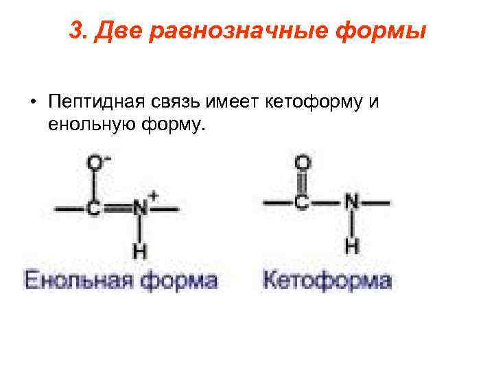 3. Две равнозначные формы • Пептидная связь имеет кетоформу и енольную форму. 