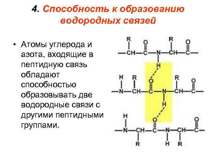 Две водородные связи